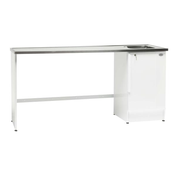 Balta izlietne ar metāla virsmu, taisnstūra forma, ar vienu izlietni un skapīti apakšā.